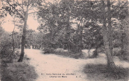 Delcampe - 78 LE VESINET ASILE NATIONAL DU VESINET CHAMP DE MARS - Le Vésinet