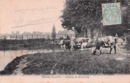 Delcampe - 92 CHAVILLE L ETANG DE BRISEMICHE - Chaville
