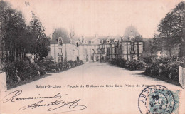 Delcampe - 94 BOISSY SAINT LEGER CHATEAU DE GROS BOIS - Boissy Saint Leger