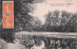Delcampe - 92 MEUDON BOIS DE MEUDON CLAMART L ETANG DE L URSSINE - Meudon