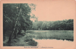 Delcampe - 92 MEUDON L ETANG DE VILLEBON - Meudon