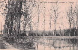 Delcampe - 92 MEUDON BOIS DE MEUDON L ETANG DE L USINE - Meudon