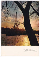 Delcampe - CPSM 10.5x15 Photo Albert MONIER " PARIS - La Seine Et La Tour Eiffel " - Monier