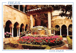 Delcampe - 83-FREJUS-N°3735-A/0013 - Frejus