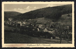 Delcampe - AK Zell / Odenwald, Sicht über Den Ort - Odenwald