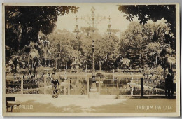 Delcampe - Brazil São Paulo 1940s Postcard Photo Of Jardim Da Luz Garden Of Light Unused - São Paulo
