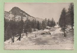 Delcampe - 05 -  SERRE - CHEVALIER  ,  Sur La Piste Du Vallon  .cpsm  10,5 X 15 . - Serre Chevalier