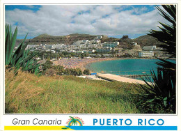 Delcampe - Carte Postale - Espagne - Espana - Islas Canarias - Gran Canaria - Puerto Rico - Vista General - Vue Générale - Immeuble - Gran Canaria