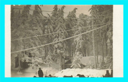 Delcampe - A952 / 519 Carte Photo ! Paysage Hivernal ( Neige ) - Fotografie
