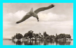 Delcampe - A952 / 413 Gruss Aus Wilhelmstein Im Steinhuder Meer ( Oiseau ) - Steinhude