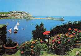 Delcampe - 66 COLLIOURE LE PORT - Collioure