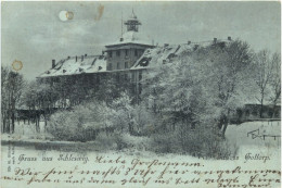 Delcampe - Gruss Aus Schleswig - Schloss Gottorp - Schleswig