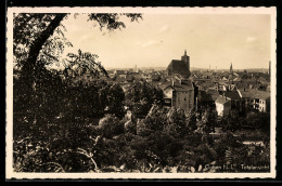 Delcampe - AK Guben /N.-L., Totalansicht - Guben