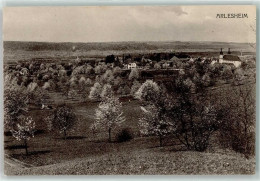 Delcampe - 4144 Arlesheim - Baumblüte - 13256157 - Arlesheim