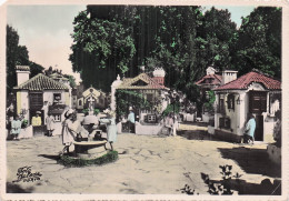 Delcampe - PORTUGAL COIMBRA LARGO DO TERREIRO FONTE PUBLICA PORTUGAL DOS PEQUENIT - Sonstige & Ohne Zuordnung
