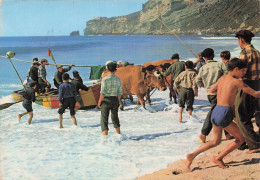 Delcampe - PORTUGAL NAZARE PLAGE - Sonstige & Ohne Zuordnung
