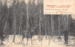 Delcampe - Libramont – Chasse Sous-bois - Libramont-Chevigny