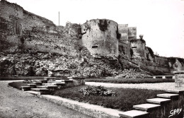 Delcampe - 14-FALAISE-N°T1159-H/0205 - Falaise