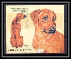 Delcampe - Bénin ** MNH 027 - BENIN Bloc Michel N° 28 Chien (dog) Ridgebach Rhodesien - Cani