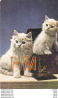 Delcampe - Calendrier 1982 Deux Chatons 9 Cm X 6 Cm - Chats