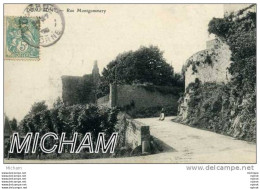 Delcampe - CPA 61  DOMFRONT RUE MONTGOMMERY   TB ETAT - Domfront