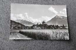 Delcampe - Thun - Schloss Und Kirche Mit Blümlisalp - Niesen - Thun