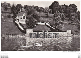 Delcampe - CPSM  SUISSE  KUSSNACHT A. RIGI  CHAPELLE  TB ETAT - Chapelle