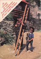 Delcampe - 74 SAINT JEAN D AULPS CARTE POSTALE - Saint-Jean-d'Aulps