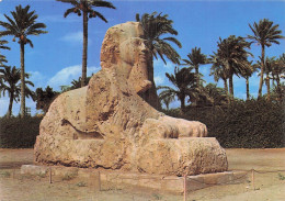 Delcampe - EGYPTE GIZEH LE SPHINX DE SAQQARAH - Sonstige & Ohne Zuordnung