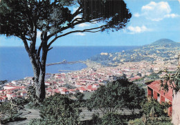 Delcampe - PORTUGAL FUNCHAL VUE OUEST - Sonstige & Ohne Zuordnung