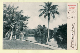 Delcampe - 31109 / SINGAPORE Botanical Garden SINGAPOUR PostéeMarin Escale Croiseur FOUDRE 24.10.1905 à Edmond MARTIN Niort - Singapur