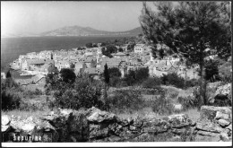 Delcampe - Croatia------Sepurine (Zadar)------old Postcard - Croatia