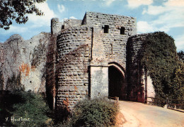 Delcampe - 77-PROVINS-N°3750-A/0221 - Provins