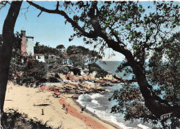 Delcampe - 85-NOIRMOUTIER-N°3750-A/0217 - Noirmoutier
