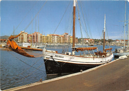 Delcampe - 83-HYERES LES PALMIERS-N°2005-D/0157 - Hyeres