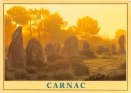 Delcampe - 56-CARNAC-N°2005-C/0307 - Carnac
