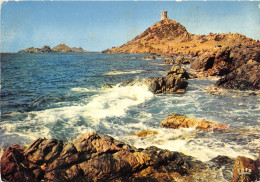 Delcampe - 2A-AJACCIO-LES ILES SANGUINAIRES-N°2005-C/0247 - Ajaccio