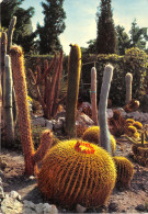 Delcampe - 06-EZE VILLAGE-N°2005-C/0181 - Eze