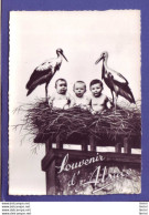 Delcampe - 67 - ALSACE - SOUVENIR D'ALSACE - BÉBÉ CIGOGNE - - Alsace