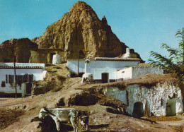 Delcampe - ESPAÑA Purullena Cuevas Habitadas Arquitectura Rural Circulada #SAU516 - Granada