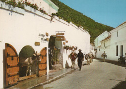 Delcampe - ESPAÑA Málaga Mijas Burro Taxis Arquitectura Pueblo Blanco Unposted #SAU461 - Málaga