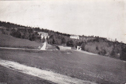 Delcampe - # CASTELNUOVO: PINETA CLINICA DE LUCA - Foggia
