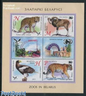 Delcampe - Belarus 2013 Zoos 4v M/s, Mint NH, Nature - Animals (others & Mixed) - Birds - Birds Of Prey - Cat Family - Belarus