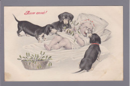 Delcampe - CPA Teckel Vienne Viennoise Dackel Dachshund Circulée - Chiens