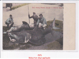 Delcampe - AFRIQUE DU SUD: Pêche, Requin, Man Eating Sharks (caught In Simons Bay) - Très Bon état - Südafrika