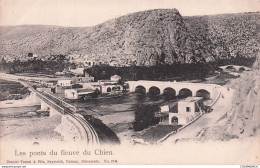 Delcampe - LES PONTS DU FLEUVE DU CHIEN - Libanon