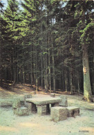 Delcampe - 88 SAINT DIE DES VOSGES LES TROIS FAUTEUILS - Saint Die