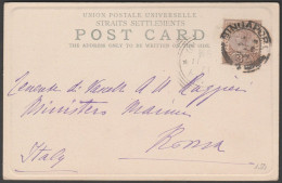 Delcampe - Straits Settlements - Singapore - Postcard - 1901 - Singapur