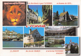 Delcampe - 89 AUXERRE CENTRE VILLE - Auxerre
