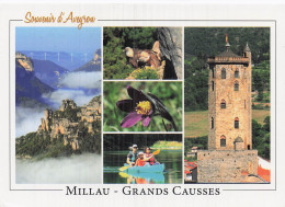 Delcampe - 12 MILLAU GRANDS CAUSSES - Millau